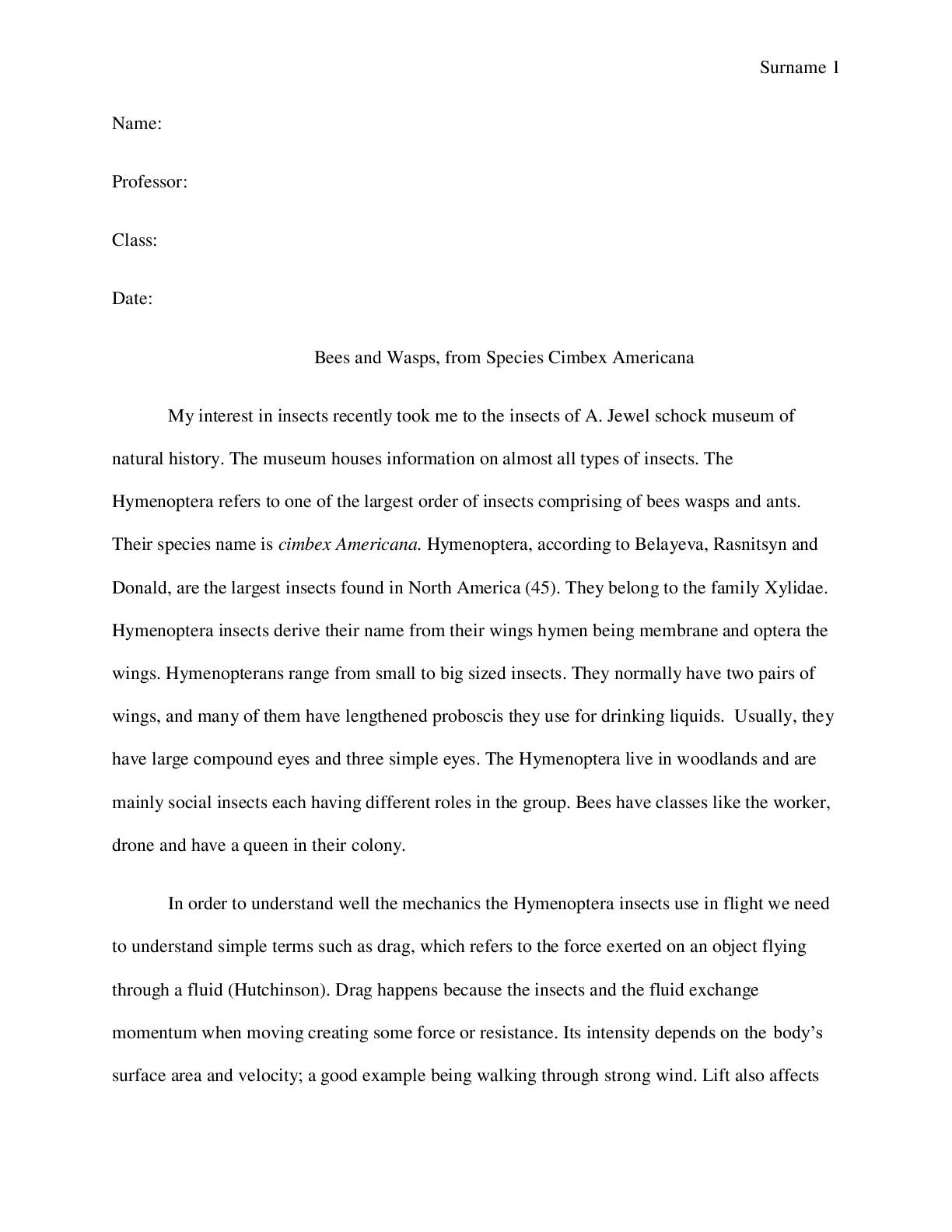 Preview image for Bees and Wasps, from Species Cimbex Americana